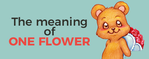 Is it acceptable to give one flower to a lady?